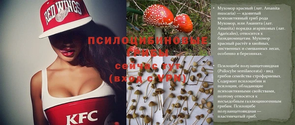 первитин Надым